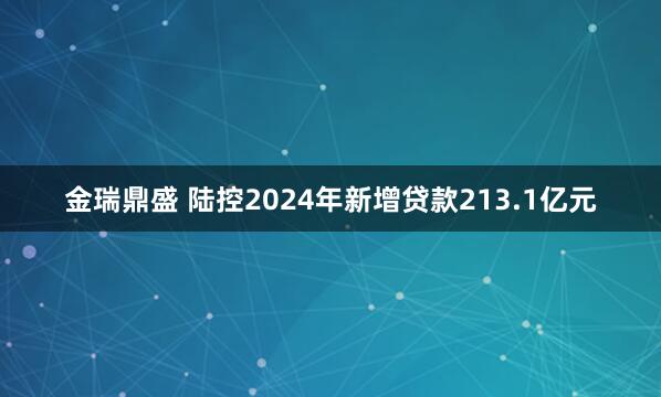 金瑞鼎盛 陆控2024年新增贷款213.1亿元